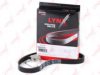 LYNXauto 6PK0823EL V-Ribbed Belts